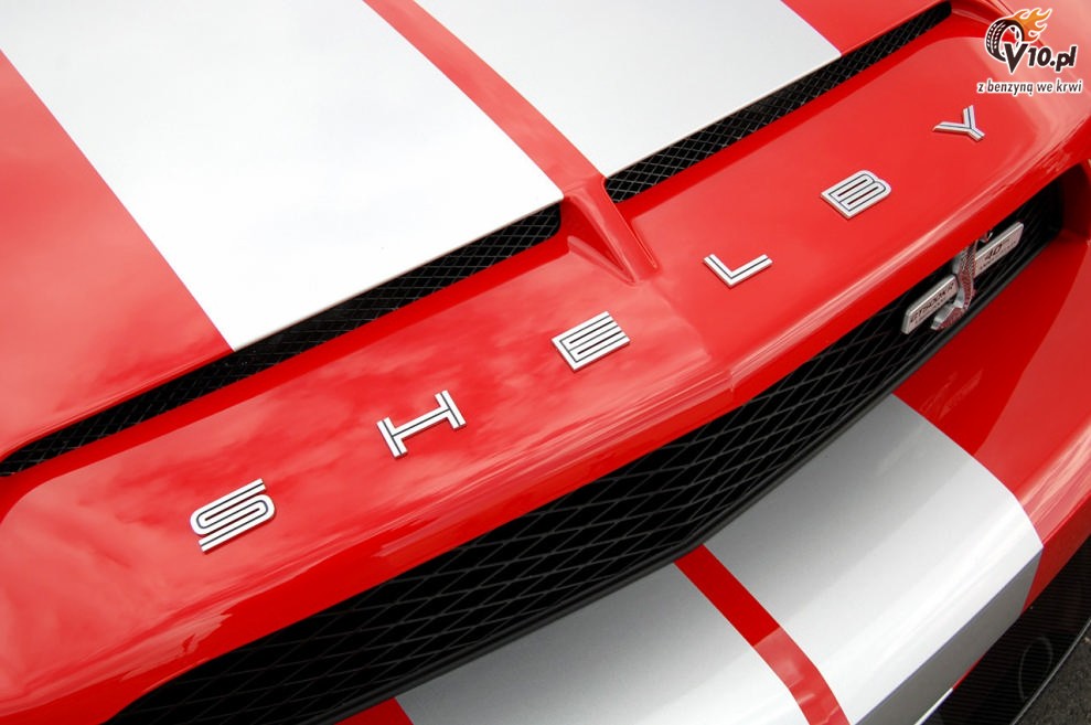 Shelby Mustang GT500 KR model 2008