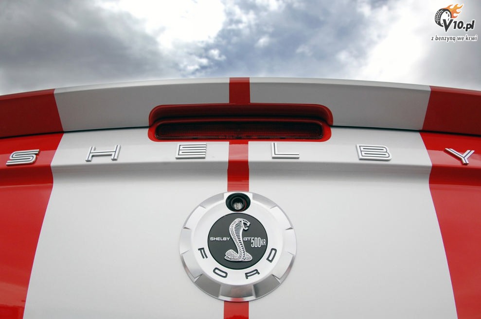 Shelby Mustang GT500 KR model 2008