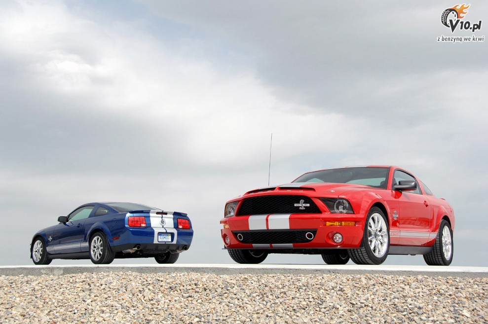 Shelby Mustang GT500 KR model 2008