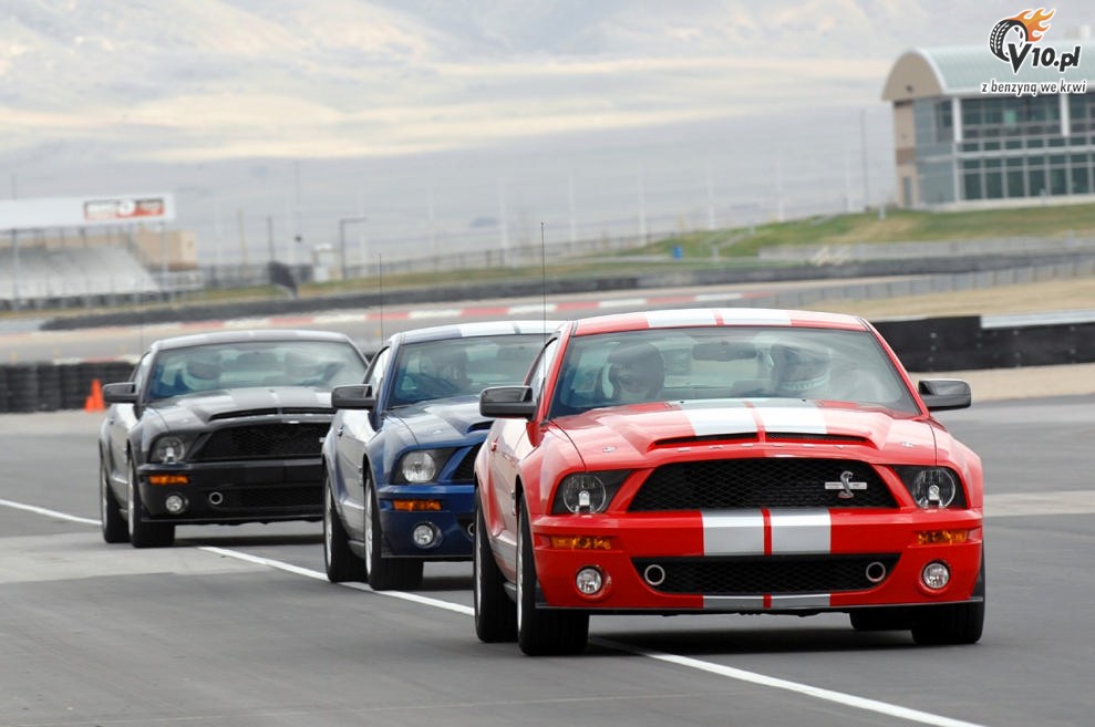 Shelby Mustang GT500 KR model 2008