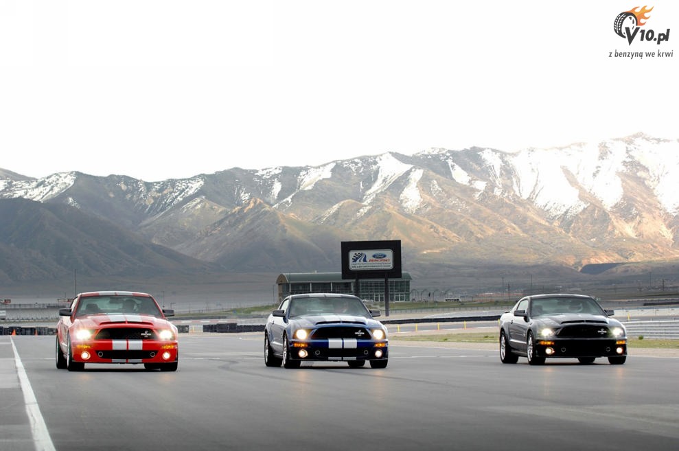 Shelby Mustang GT500 KR model 2008