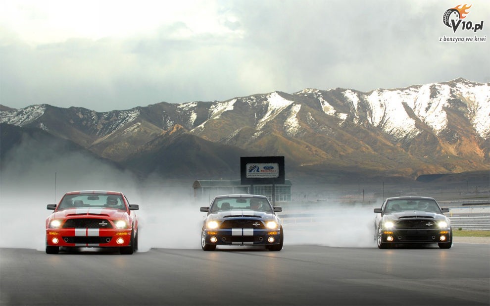 Shelby Mustang GT500 KR model 2008