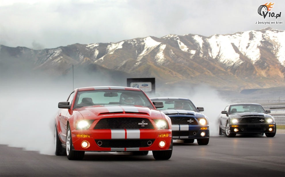 Shelby Mustang GT500 KR model 2008