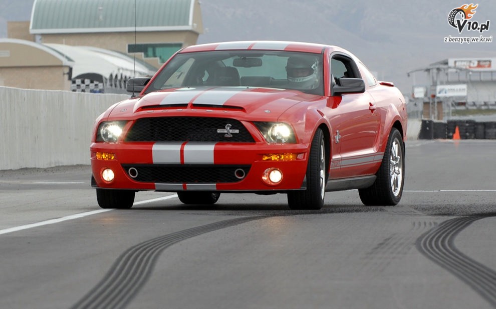Shelby Mustang GT500 KR model 2008