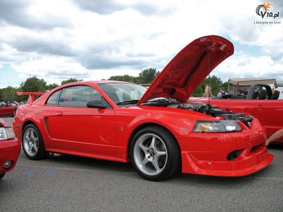 Mustang SVT Cobra R