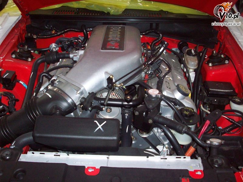 Mustang SVT Cobra R