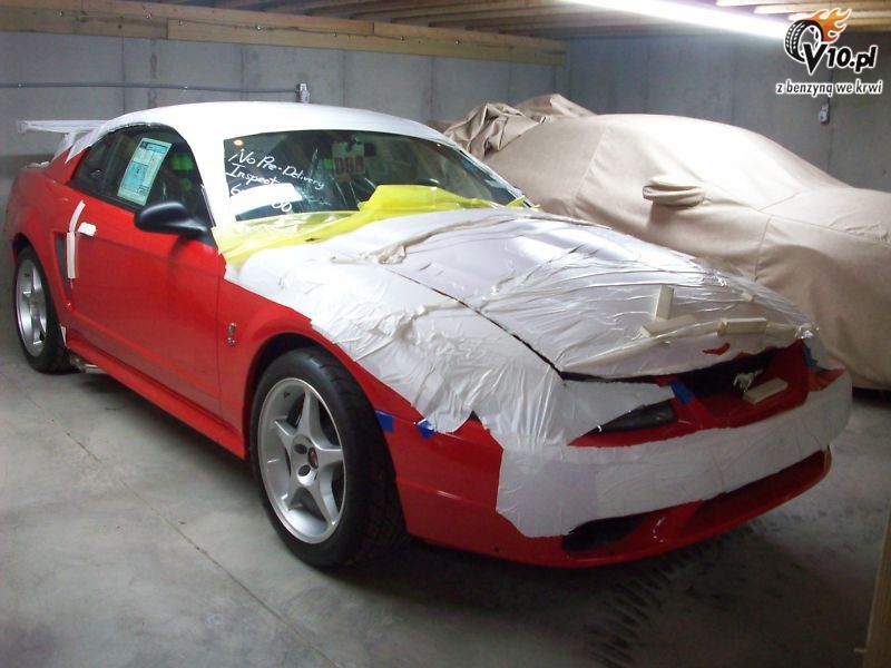 Mustang SVT Cobra R