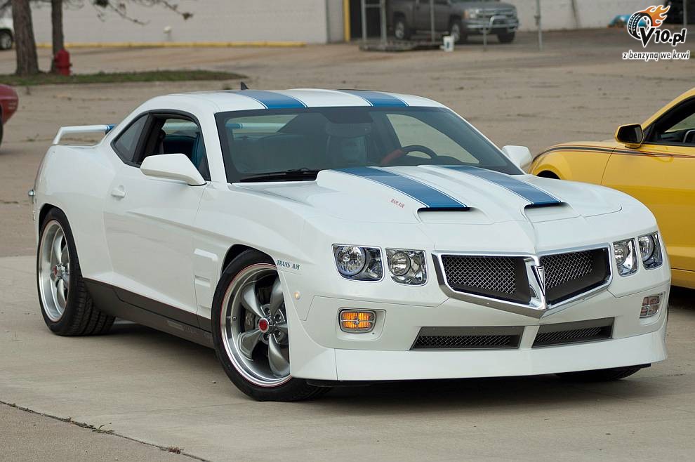 2010 Pontiac Firebird Trans Am 09