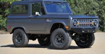 Icon Bronco Icon Bronco