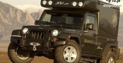 Jeep EarthRoamer XV-JP