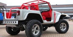 Jeep Wrangler MoPar Pork Chop