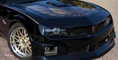 Pontiac Trans Am Hurst P. Teutula na eBay-u