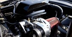 Pontiac Trans Am Hurst P. Teutula na eBay-u