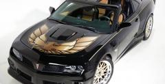 Pontiac Trans Am Hurst P. Teutula na eBay-u