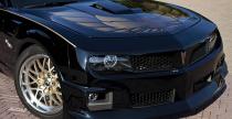 Pontiac Trans Am Hurst P. Teutula na eBay-u