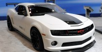 Nagrody SEMA 2010
