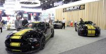 Shelby GT500 Super Snake  ShelbyGT350 Shelby GTS