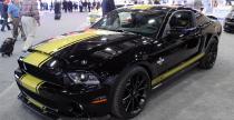 Shelby GT500 Super Snake  ShelbyGT350 Shelby GTS