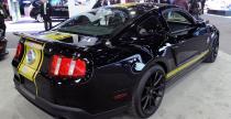 Shelby GT500 Super Snake  ShelbyGT350 Shelby GTS