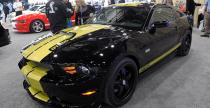 Shelby GT500 Super Snake  ShelbyGT350 Shelby GTS