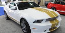 Shelby GT500 Super Snake  ShelbyGT350 Shelby GTS