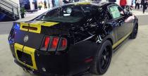 Shelby GT500 Super Snake  ShelbyGT350 Shelby GTS