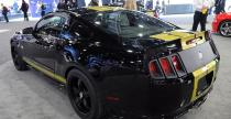 Shelby GT500 Super Snake  ShelbyGT350 Shelby GTS