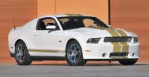 Shelby GT500 Super Snake  ShelbyGT350 Shelby GTS