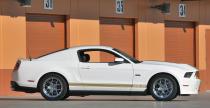 Shelby GT500 Super Snake  ShelbyGT350 Shelby GTS