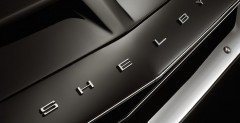 Shelby Black Hornet
