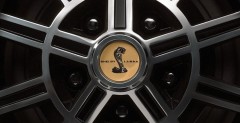 Shelby Black Hornet