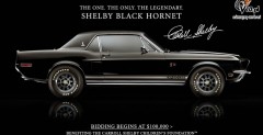 Shelby Black Hornet