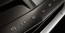 Shelby Black Hornet