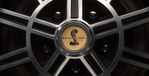 Shelby Black Hornet