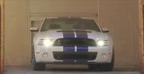 Shelby GT500 i kumple z policji