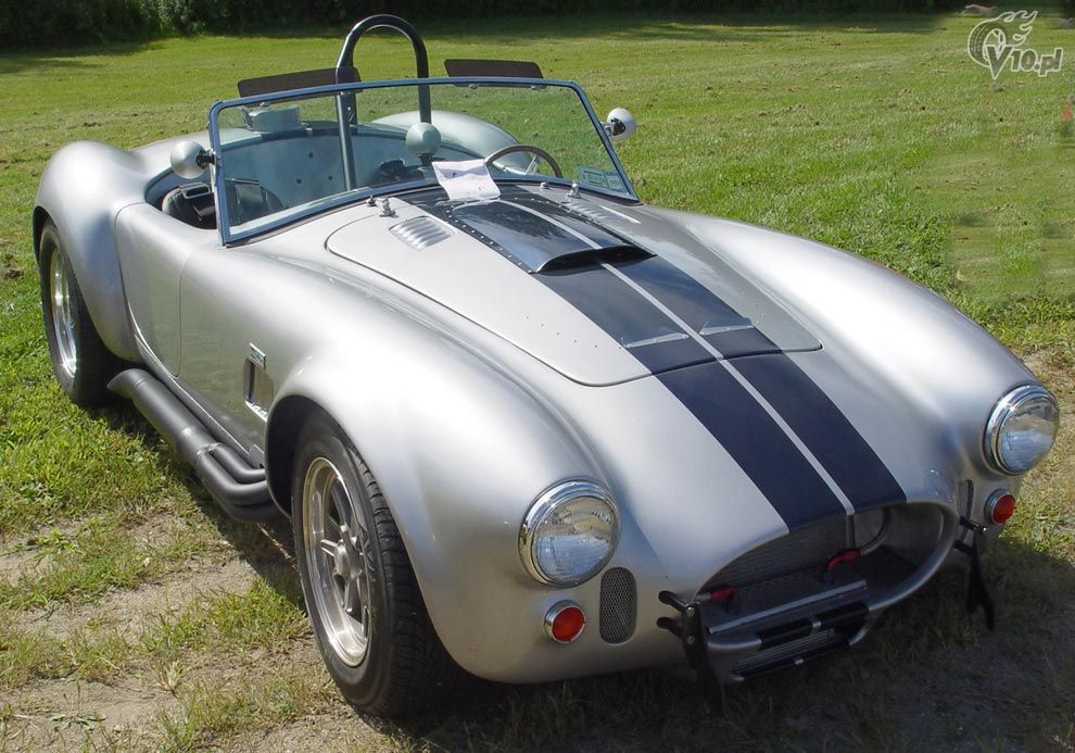 http://www.v10.pl/archiwum/amerykany/opisy_klasykow/ac_cobra/shelby_cobra_2.jpg