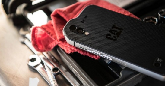 Cat S61