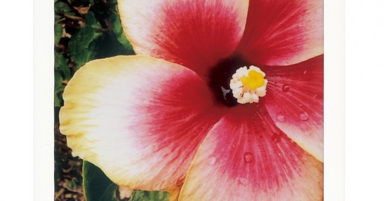 Fujifilm instax Square SQ10