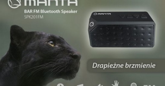 Manta Bar FM Bluetooth Speaker SPK201FM