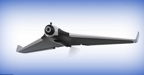 Parrot Disco