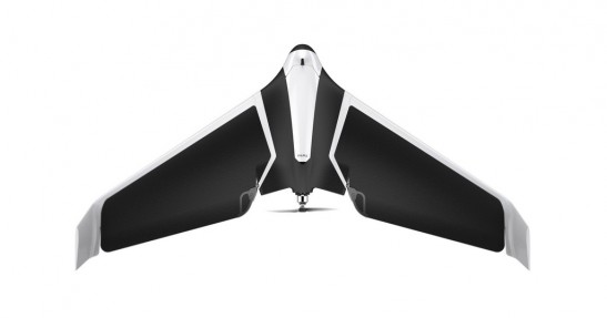 Parrot Disco
