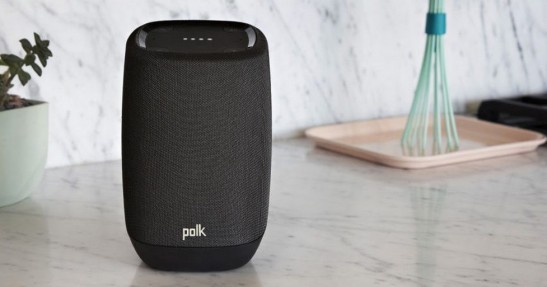 Polk Assist