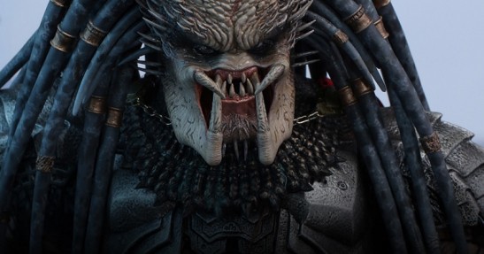 Predator