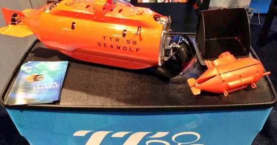TTRobotix seawolf