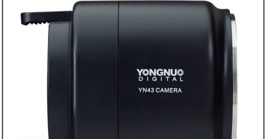 Yongnuo YN43
