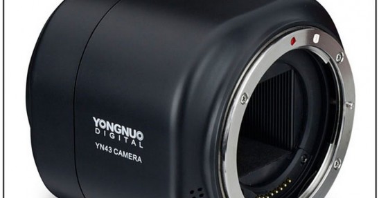 Yongnuo YN43