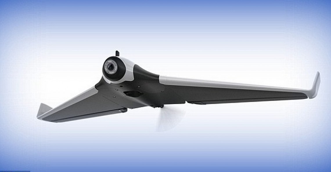 Parrot Disco
