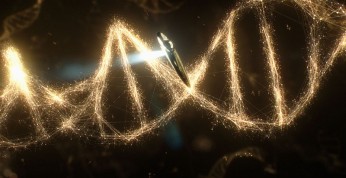 Voyage of Time: Life's Journey - zwiastun niezwykłego filmu...