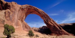 Corona Arch - najwiksza hutawka wiata