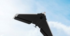 Parrot Disco